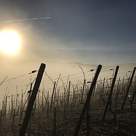 Herbst im Ahrtal