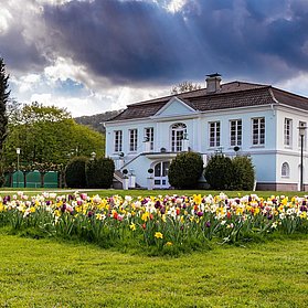 Natur & Stadt