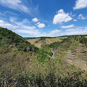 Ausblick von der Katzley