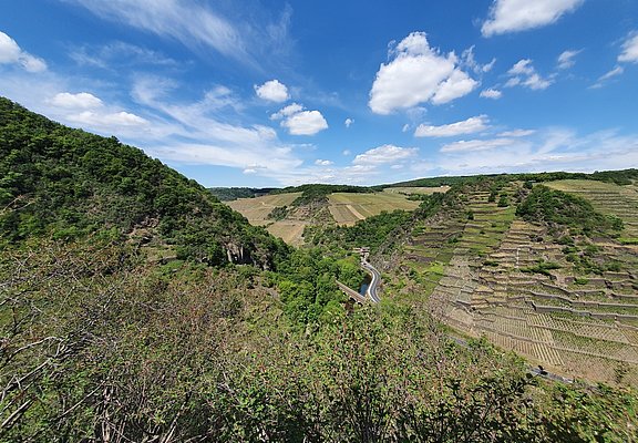 Ausblick von der Katzley