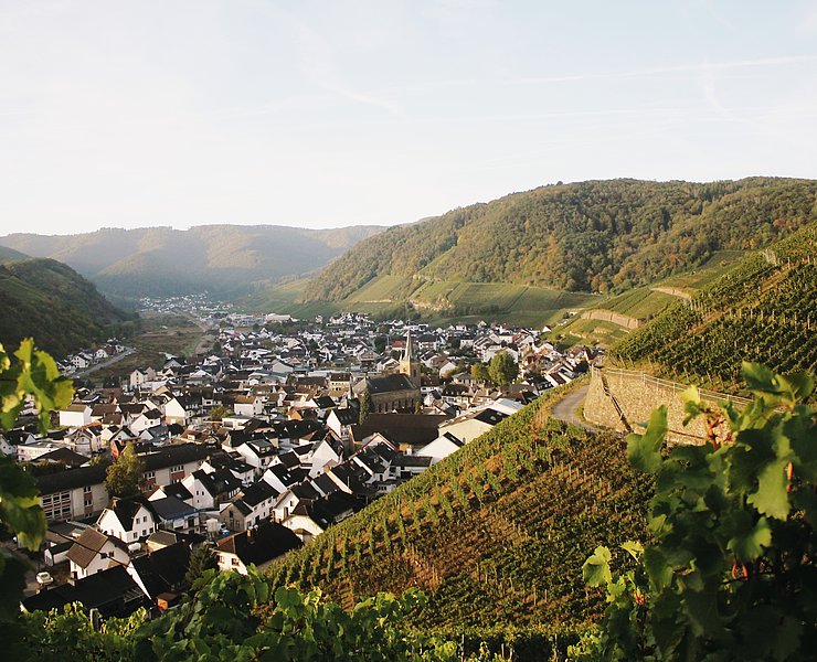 Natur-Genuss-Tour in Dernau: Weinberge und idyllische Landschaften des Ahrtals erleben und genießen.