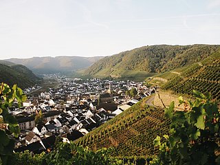 Natur-Genuss-Tour in Dernau: Weinberge und idyllische Landschaften des Ahrtals erleben und genießen.