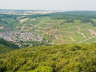 Krausberg, Ahrtal, Wandern, Dernau