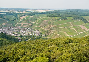 Krausberg, Ahrtal, Wandern, Dernau