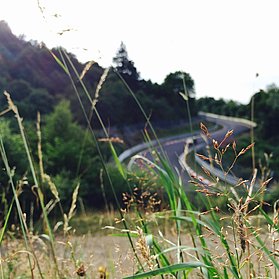 Blick auf die Nürburgring-Nordschleife