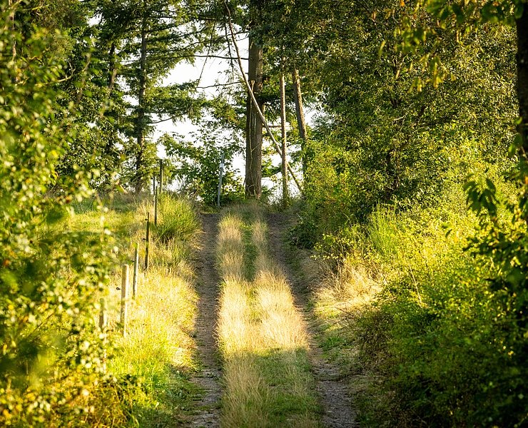 Im Sahrbachtal