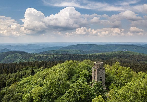 Blick auf den Kaiser-Wilhelm-Turm