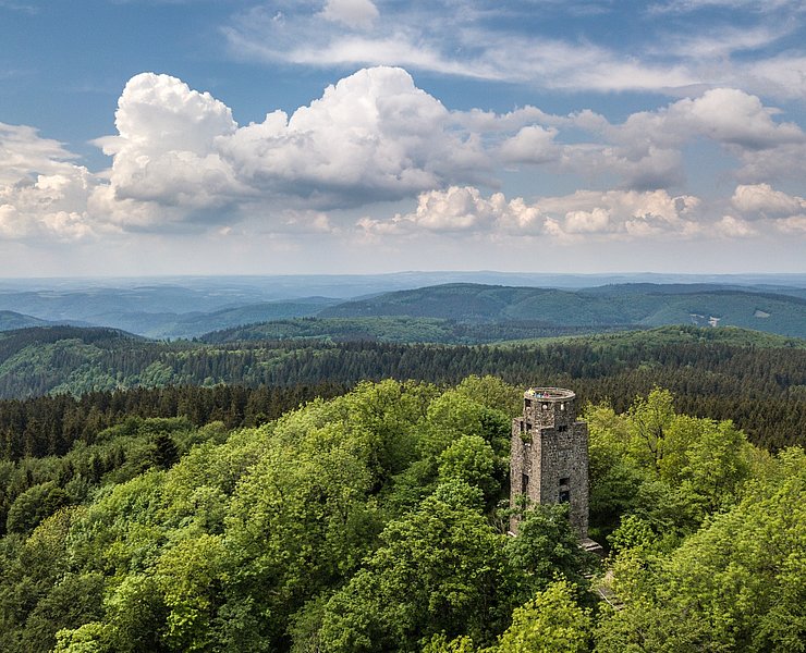 Blick auf den Kaiser-Wilhelm-Turm