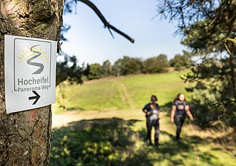 Hocheifel-Panorama-Weg_Hürstnück