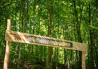 Waldentdeckerpfad Bad Neuenahr-Ahrweiler