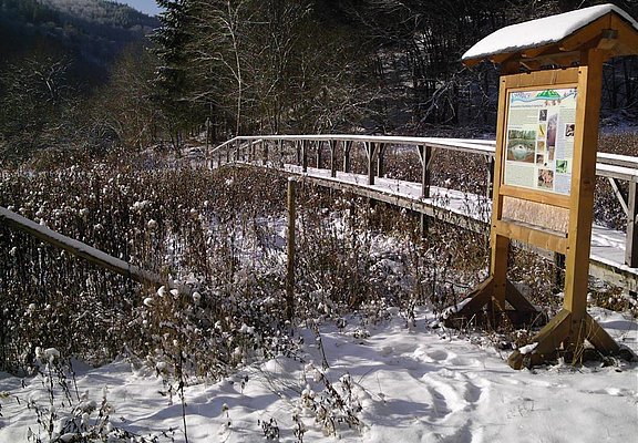Winterimpression