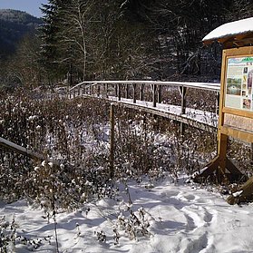 Winterimpression