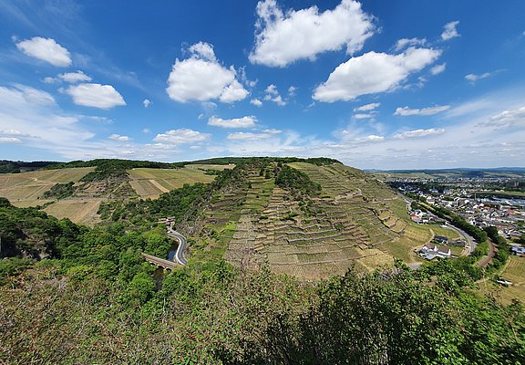 Katzley, Ahrtal, Wandern, AhrSteig, Ahr, Walporzheim, Bunte Kuh