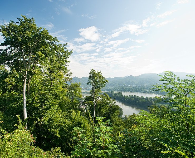 Blick aufs Siebengebirge