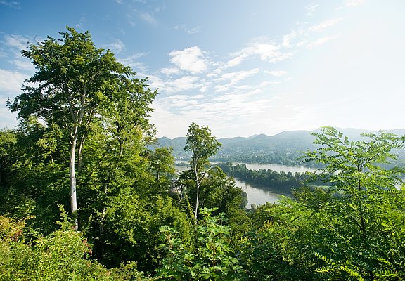 Blick aufs Siebengebirge