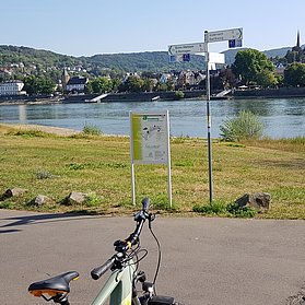 Rheinradweg Kripp Blick auf Linz
