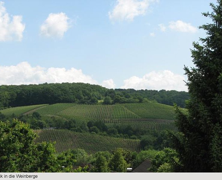 Aussicht