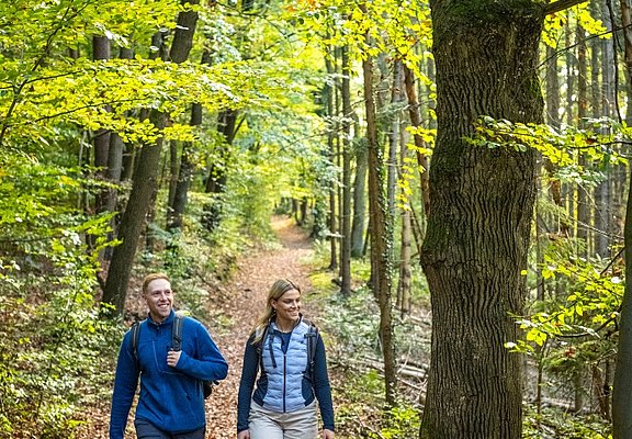 Die AhrSchleife führt durch weite Wälder