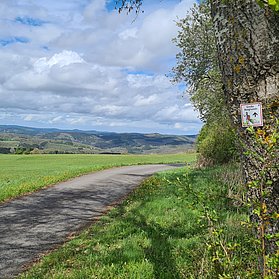 Blick in Richtung Quiddelbach