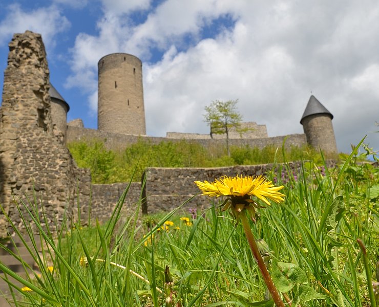 Burgruine Nürburg