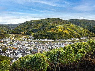 Blick auf Dernau im Herbst