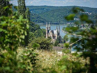 Blick auf Apollinariskirche