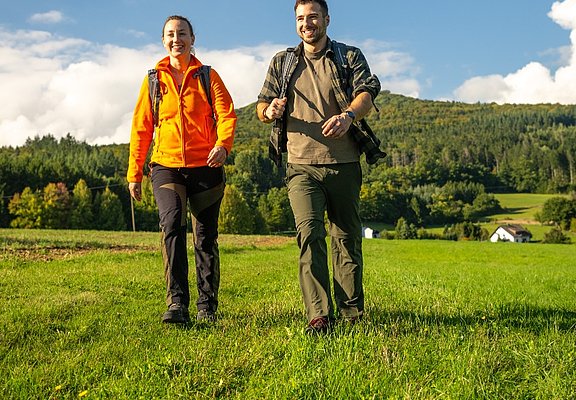 Landschaftserlebnis bei Antweiler