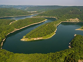 Urftsee im Nationalpark Eifel