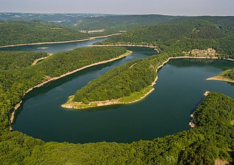Urftsee im Nationalpark Eifel
