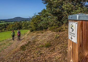 Hocheifel-Panorama-Weg_Blick auf den Aremberg
