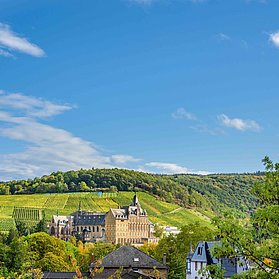 Natur & Stadt