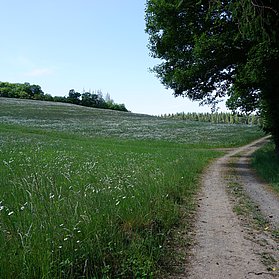 Ahrsteig