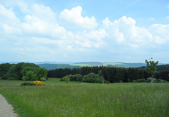 Blick von der Wershofener Höhe