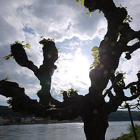 Umgebung 04