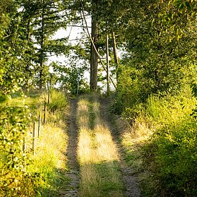 Im Sahrbachtal