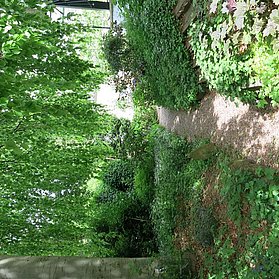 Schattenplatz