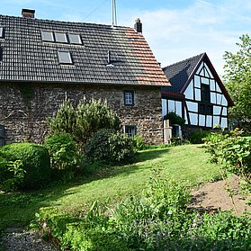 andere Perspektive aus dem Garten