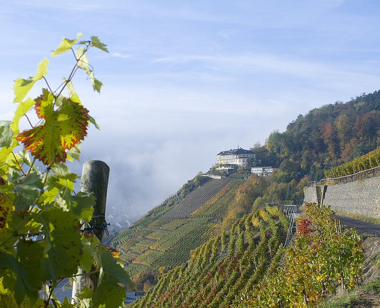 Hotel Hohenzollern, Restaurant Hohenzollern, Ahrtal, Bad Neuenahr-Ahrweiler, Rotweinwanderweg