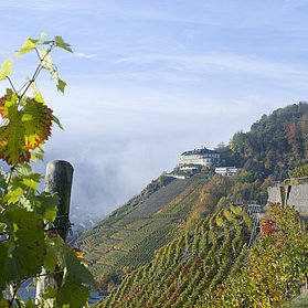Hotel Hohenzollern, Restaurant Hohenzollern, Ahrtal, Bad Neuenahr-Ahrweiler, Rotweinwanderweg