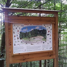 Infotafel Steinbruch Naturpfad Eulenweg