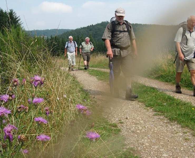 Partnerweg des Eifelsteiges: Eifeler Quellenpfad