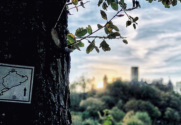 Blick auf die Nürburg