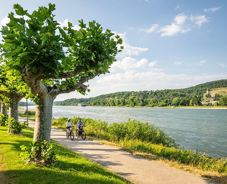 Rheinradweg bei Bad Breisig