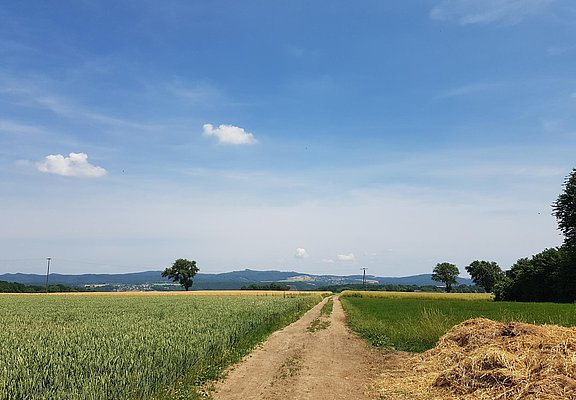 Foto von Prädikats-Kurztour / Prädikats-Rundtour: Apollinaris-Schleife  • Romantischer Rhein (22.06.2017 11:00:17 #1)