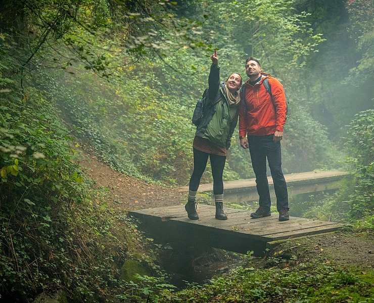 Holzbrücke der Maibachklamm