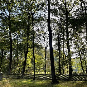 Alter Jüdischer Friedhof Remagen