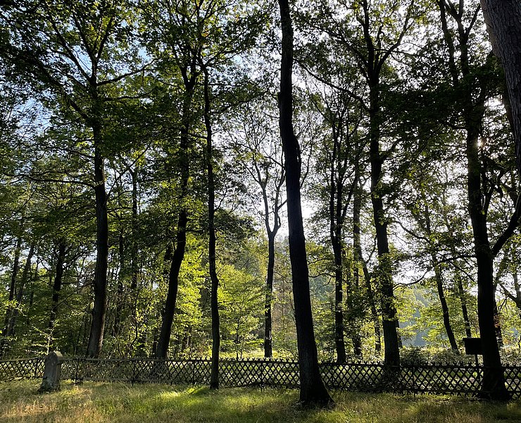 Alter Jüdischer Friedhof Remagen