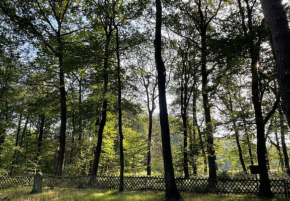 Alter Jüdischer Friedhof Remagen