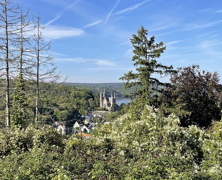 Aussicht