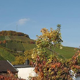 Ausblick